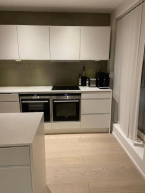 Modern apartment